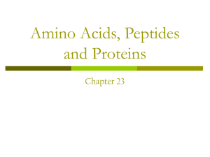 Amino Acids, Peptides and Proteins