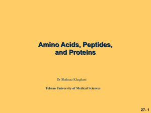 Carey Chapter 27 Amino Acids