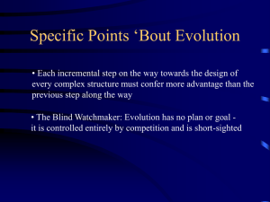 Specific Points 'Bout Evolution