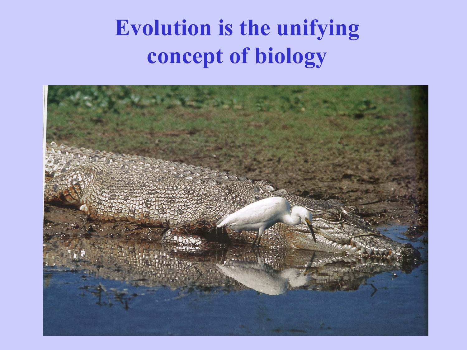 lecture-2-evolution-is-the-unifying-concept-of-biology