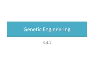 Genetic Engineering - Bioenviroclasswiki