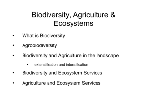 Presentation on Biodiversity issues