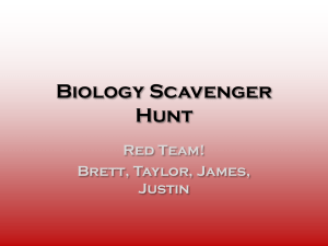 Biology Scavenger Hunt PART ONE