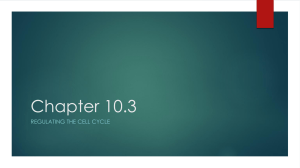 Chapter 10.3