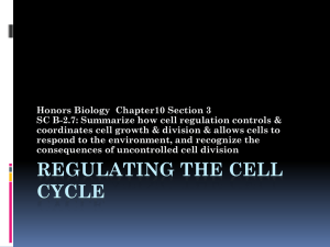Cell Cycle Controls