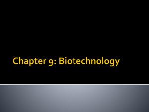 Chapter 9: Biotechnology Restriction Enzymes