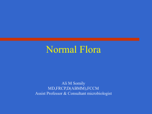 01-Normal Flora Update