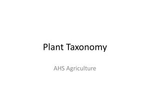 Plant Taxonomy ppt