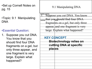 9.1 Manipulating DNA
