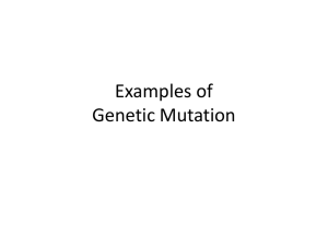 Examples of Genetic Mutation