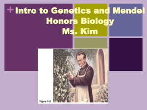Intro to Genetics and Mendel