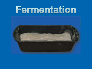 Fermentation - Cloudfront.net