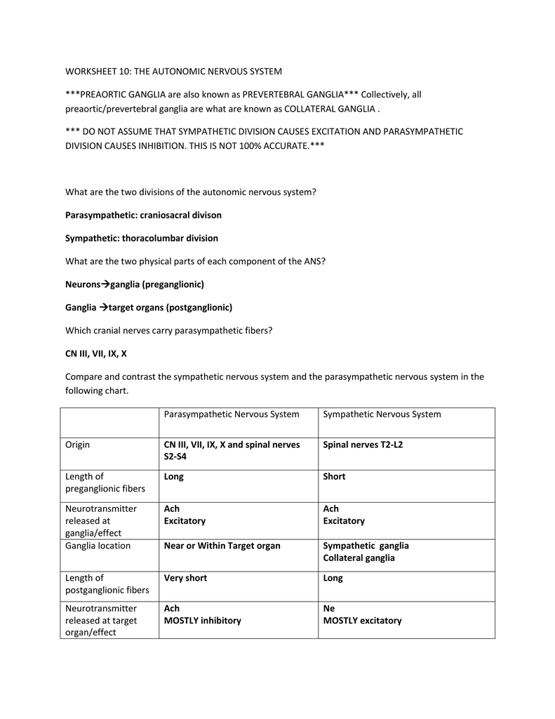 WORKSHEET 10 THE AUTONOMIC NERVOUS SYSTEM