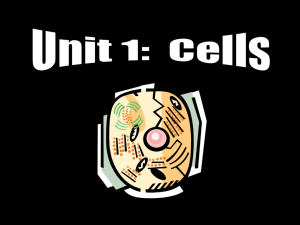 cells notes