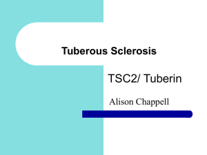 Tuberous Sclerosis