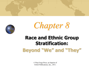 Race and ethnic group stratification