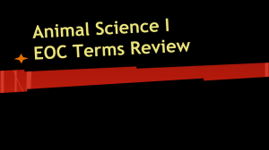Animal Science I EOC Terms Review