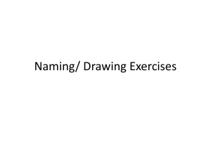 naming exercises