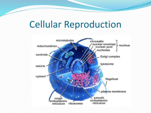 Cellular Reproduction - Davis School District