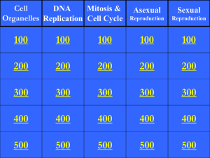Cells & Reproduction Jeopardy