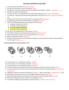 Cell Cycle and Mitosis Study Guide