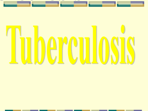 Tuberculosis - Home - KSU Faculty Member websites