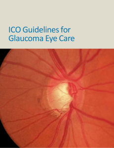 ICO Guidelines for Glaucoma Eye Care