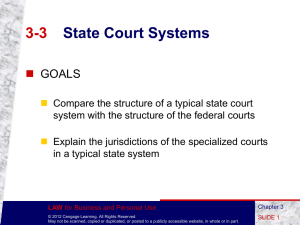 CHAPTER 3 Court Systems