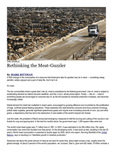 Outcome 5.1 – The Meat Guzzler