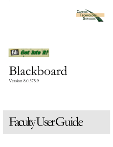 Blackboard Faculty Training Manual