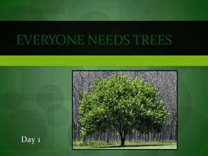 Powerpoint- Everyone needs trees