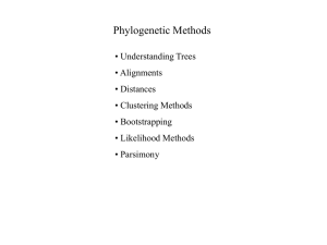 phylogenynotes