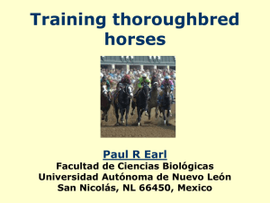 Training thoroughbred horses