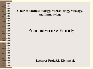 Picornaviruse Family