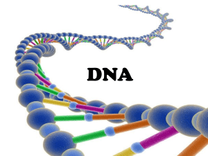 DNA