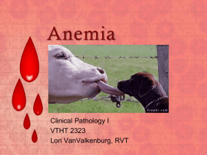 Complete Blood Count and Anemia