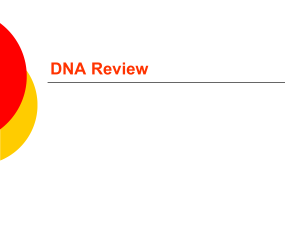 DNA Review - OG