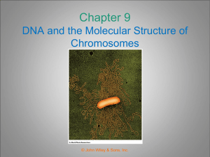Chapter 9 DNA and the Molecular Structure of Chromosomes