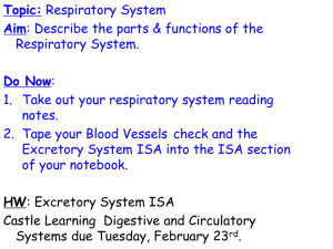 TOPIC: Respiratory System AIM: What are the parts & functions of