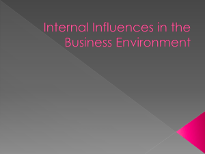 Internal Influences in the Business Environment