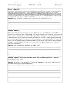 Summary Worksheets - Hatchet