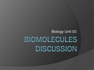 Biomolecules Discussion