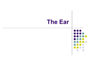 The Ear - busadmin