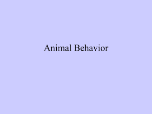 A39-Animal Behavior