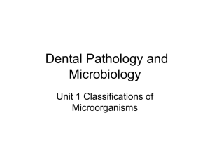 DEA-106 Dental Pathology and Microbiology