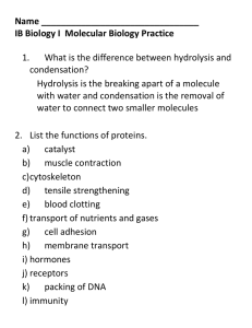 Molecular biology with answers