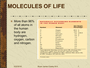 Molecules of Life