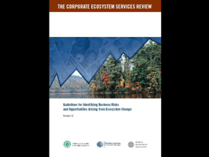 The Corporate Ecosystem Services Review