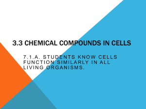 Section 3: Chemical Compounds in Cells