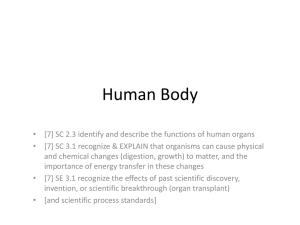 Human Body - CHS